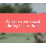 What I experienced during inspections